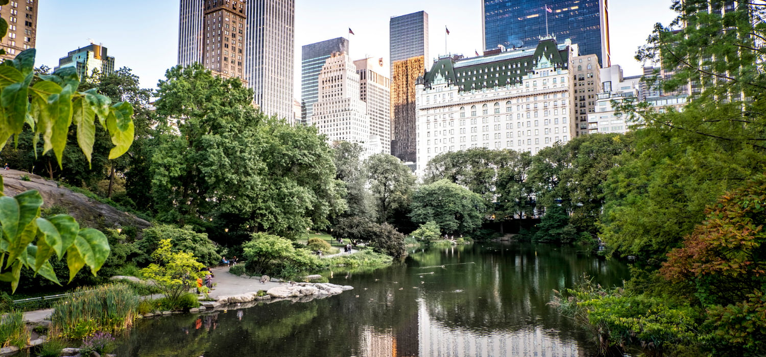 Central-park-New-York